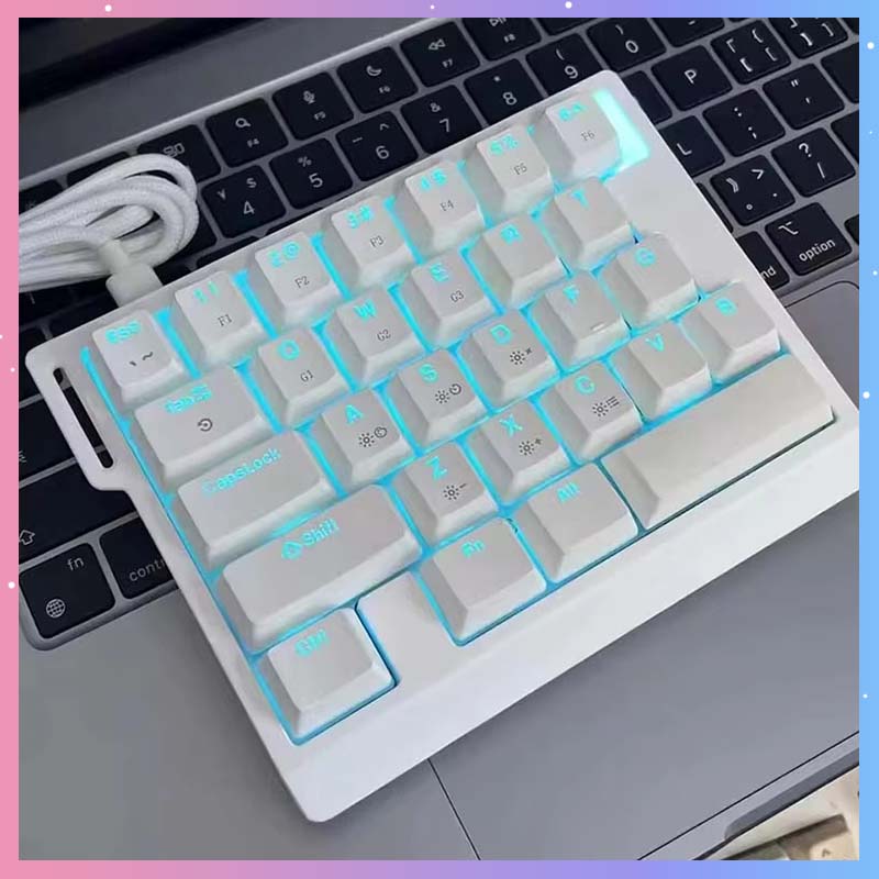 Gaming Keyboard Mechanical - HE30 Mechanische Gaming-Tastatur 29 Tasten Magnetischer